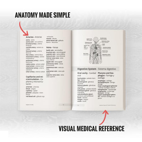 Medical Spanish Visual Pocket Dictionary