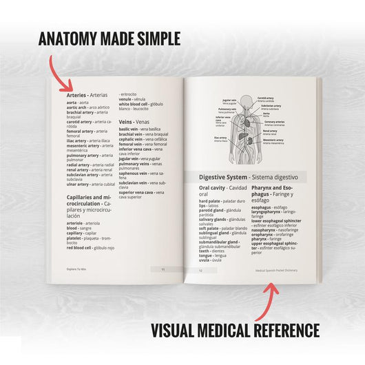 Medical Spanish Visual Pocket Dictionary